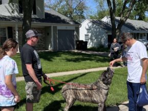 {{brizy_dc_image_alt imageSrc=